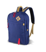 Fashionable Backpack