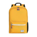 Fashionable Trending Backpack