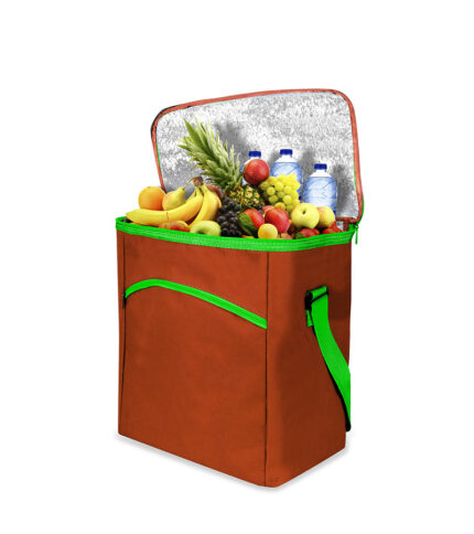 Insulated Thermal Bag for Hot or Cold